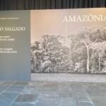 Exposição gratuita no SESC Pompeia: Amazônia